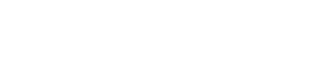 Democracy Strategy Partners